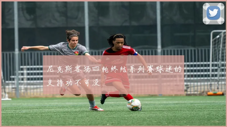 尼克斯客场四轮终结系列赛球迷的支持功不可没